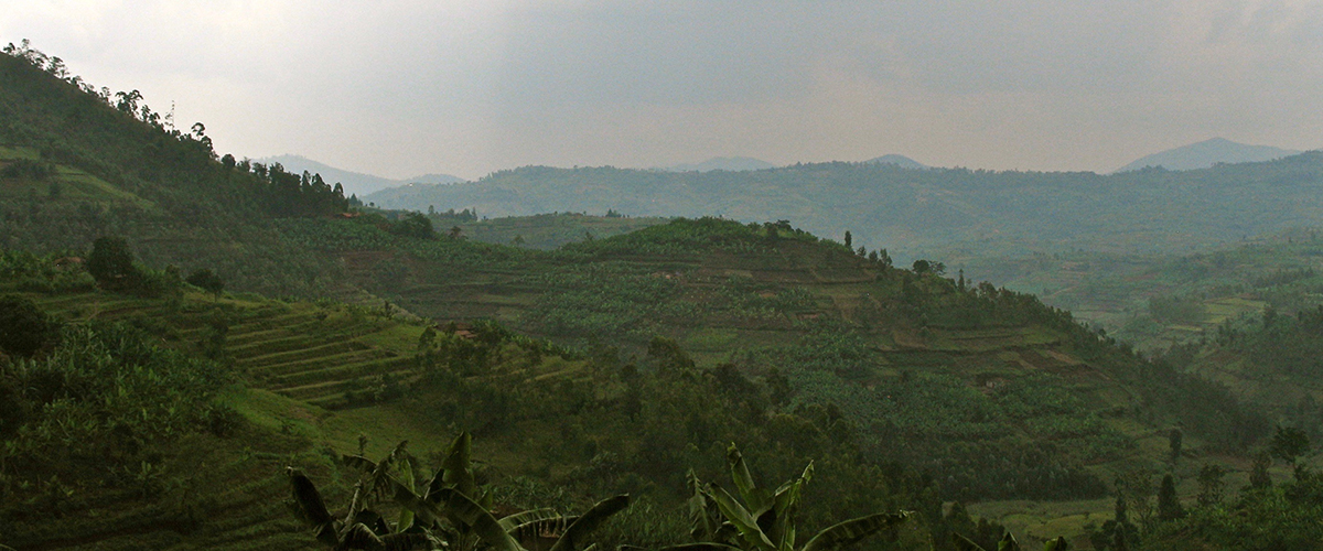 Rwandan-landscape